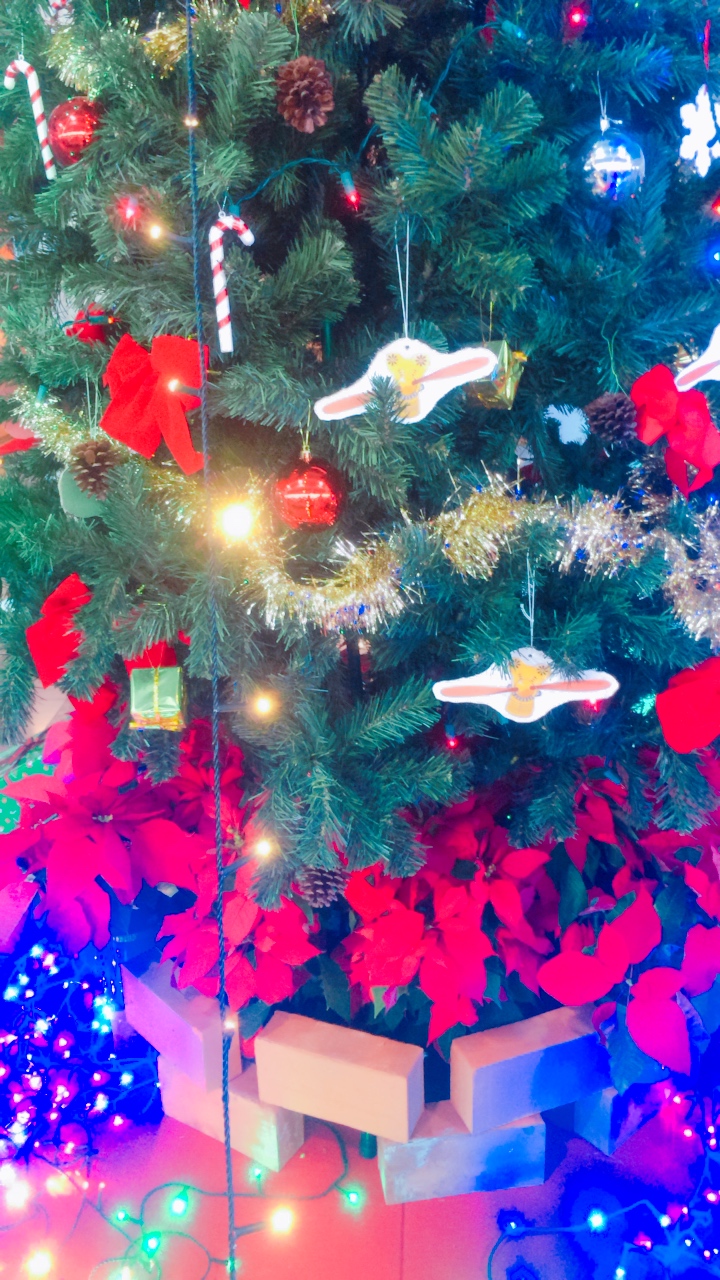 久米島空港クリスマスツリー2